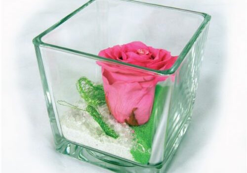 rose-eternelle-rose-cube